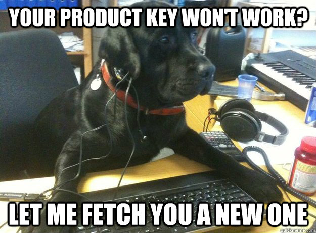 Your product key won't work? Let me fetch you a new one  Tech Support Dog