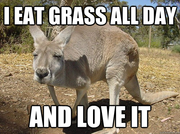 I eat grass all day AND LOVE IT - I eat grass all day AND LOVE IT  Tengaroo