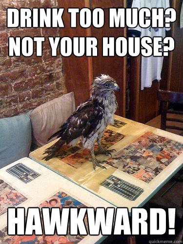 Drink too much?
Not your house? Hawkward! - Drink too much?
Not your house? Hawkward!  Hawkward Hawk