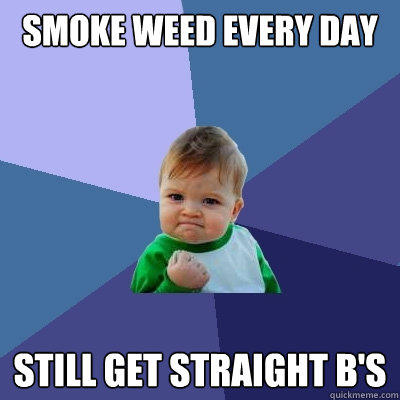 Smoke weed every day still get straight b's - Smoke weed every day still get straight b's  Success Kid