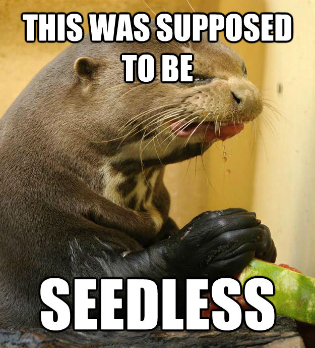 THIS WAS SUPPOSED TO BE SEEDLESS - THIS WAS SUPPOSED TO BE SEEDLESS  ornery otter