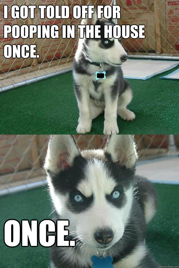 I got told off for pooping in the house once. once.  Insanity puppy