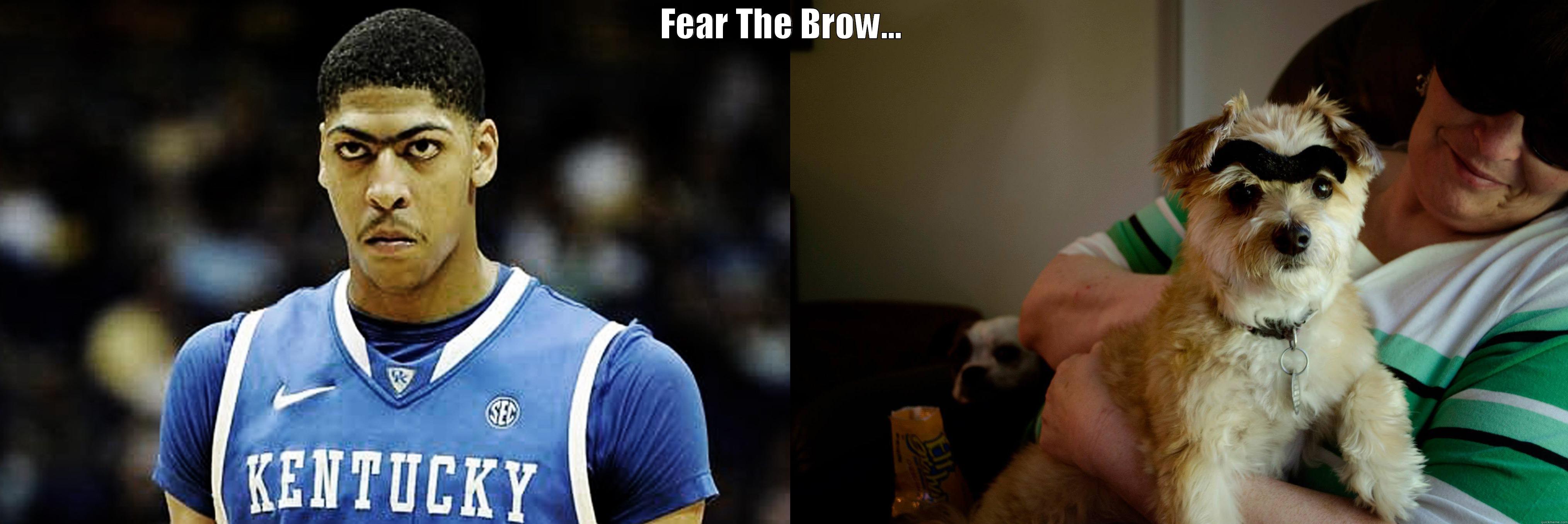 FEAR THE BROW...  Misc