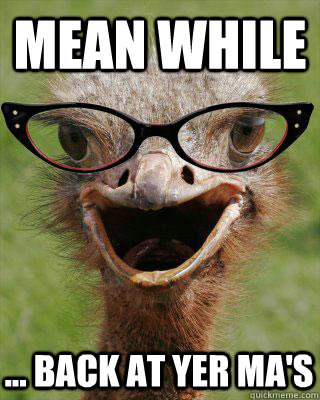 Mean while ... Back at yer ma's    Judgmental Bookseller Ostrich