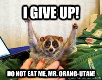 I give up! Do not eat me, Mr. Orang-utan!  
