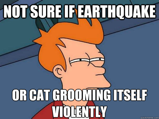 Not sure if earthquake or cat grooming itself violently  Futurama Fry
