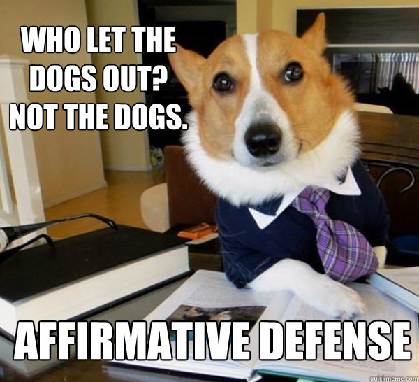 WHO LET THE DOGS OUT? NOT THE DOGS. AFFIRMATIVE DEFENSE  Lawyer Dog