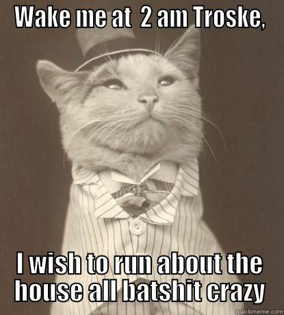 WAKE ME AT  2 AM TROSKE, I WISH TO RUN ABOUT THE HOUSE ALL BATSHIT CRAZY Aristocat