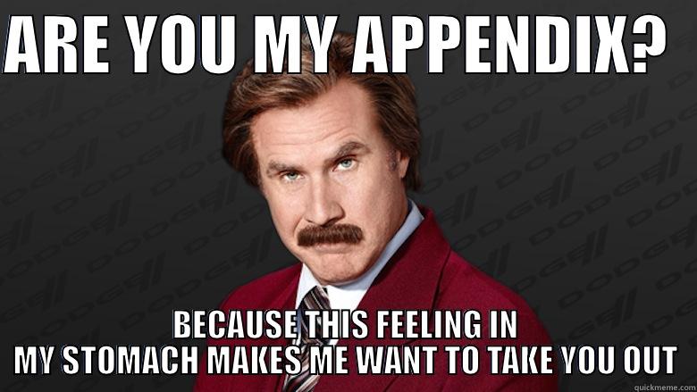 Ron Burgundy pickup line - ARE YOU MY APPENDIX?   BECAUSE THIS FEELING IN MY STOMACH MAKES ME WANT TO TAKE YOU OUT Misc