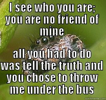 I see you for what you are - I SEE WHO YOU ARE; YOU ARE NO FRIEND OF MINE ALL YOU HAD TO DO WAS TELL THE TRUTH AND YOU CHOSE TO THROW ME UNDER THE BUS Misunderstood Spider