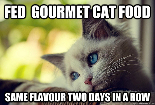 fed  gourmet cat food same flavour two days in a row  First World Cat Problems