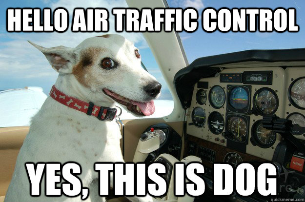 hello air traffic control yes, this is dog - hello air traffic control yes, this is dog  DOG PILOT 3