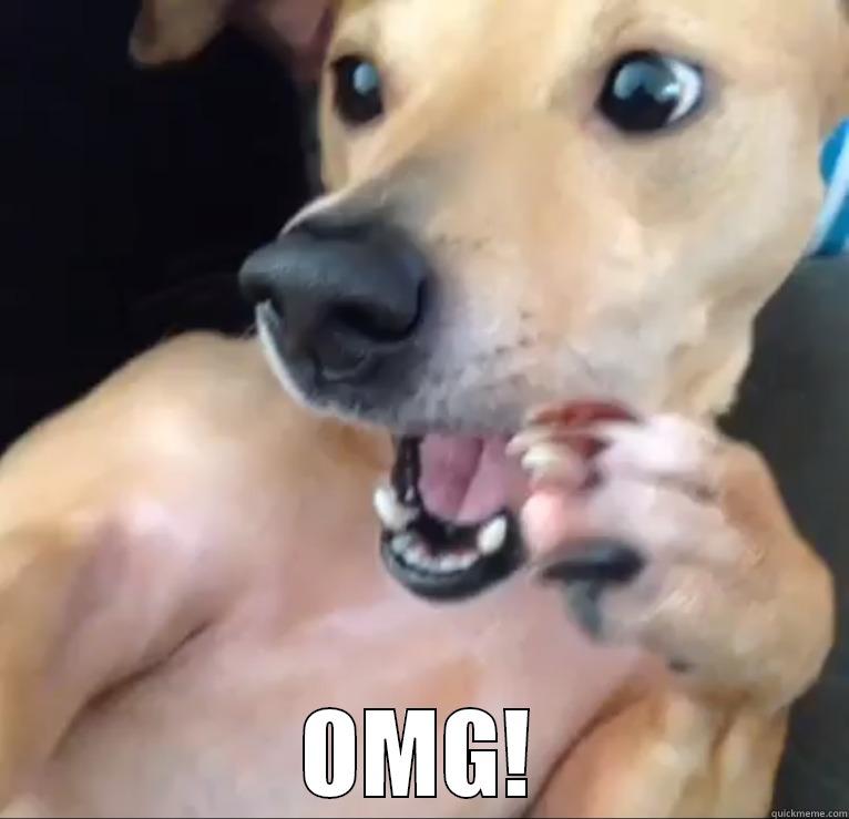  OMG! Misc
