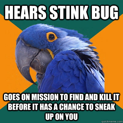 Hears stink bug Goes on mission to find and kill it before it has a chance to sneak up on you  Paranoid Parrot