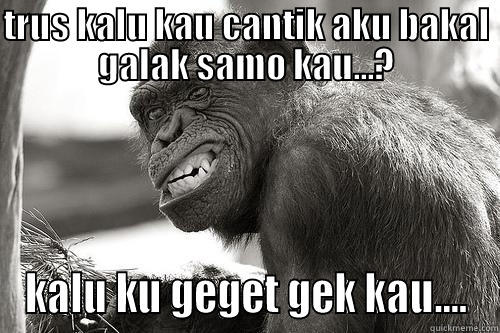 TRUS KALU KAU CANTIK AKU BAKAL GALAK SAMO KAU...? KALU KU GEGET GEK KAU.... Misc