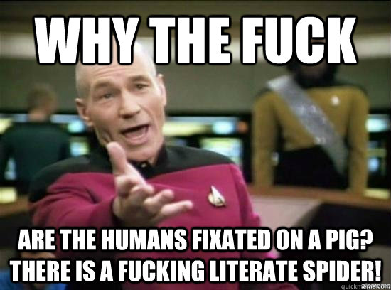 WHY THE FUCK are the humans fixated on a Pig?  There is a fucking literate spider!  Annoyed Picard HD