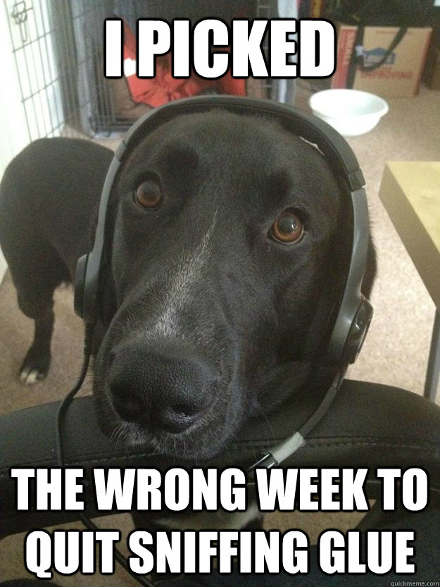 I picked The Wrong week to quit sniffing glue - I picked The Wrong week to quit sniffing glue  Air Controller dog