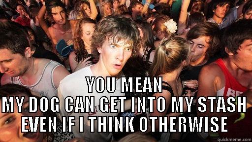  YOU MEAN MY DOG CAN GET INTO MY STASH EVEN IF I THINK OTHERWISE Sudden Clarity Clarence