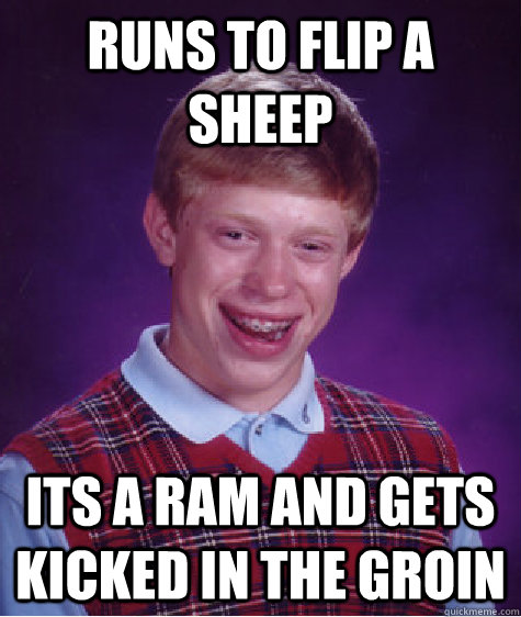 runs to flip a sheep its a ram and gets kicked in the groin - runs to flip a sheep its a ram and gets kicked in the groin  Bad Luck Brian