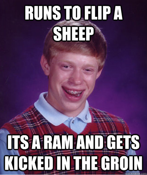 runs to flip a sheep its a ram and gets kicked in the groin  Bad Luck Brian