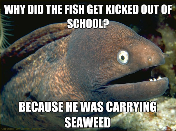 why did the fish get kicked out of school? because he was carrying seaweed  Bad Joke Eel