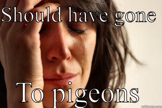 SHOULD HAVE GONE   TO PIGEONS  First World Problems