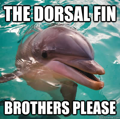 The Dorsal Fin Brothers Please  