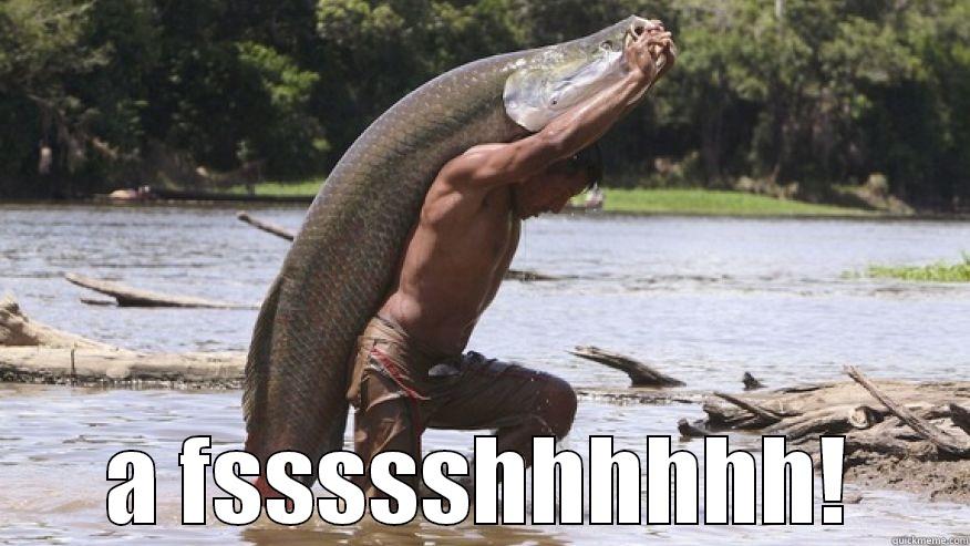  A FSSSSSHHHHHH! Misc