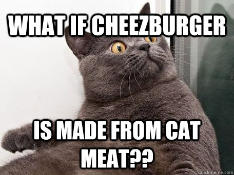 What if cheezburger is made from cat meat?? - What if cheezburger is made from cat meat??  conspiracy cat