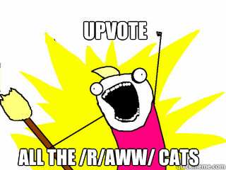 upvote all the /r/aww/ cats  All The Things