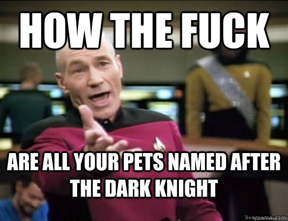 how the fuck Are all your pets named after the dark knight  Annoyed Picard HD
