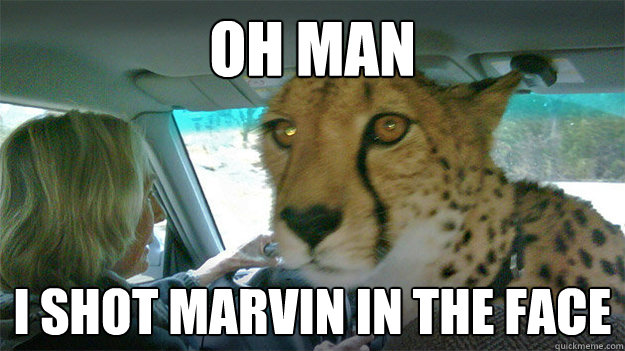 Oh man I shot marvin in the face - Oh man I shot marvin in the face  Shotgun Cheetah