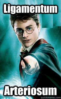 Ligamentum Arteriosum  Harry potter