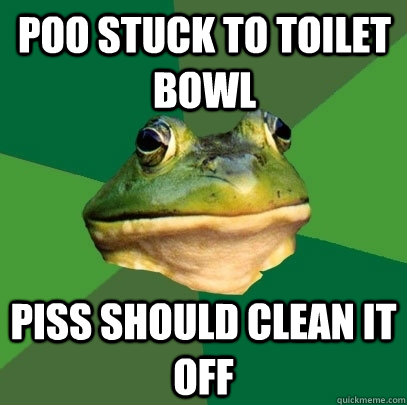 poo stuck to toilet bowl Piss should clean it off  Foul Bachelor Frog