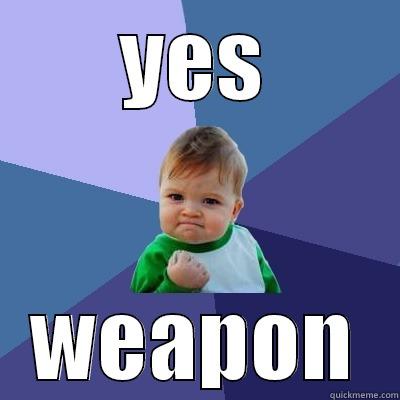 YES WEAPON Success Kid