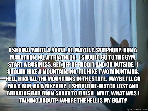 I should write a novel, or maybe a symphony, run a marathon, no, a triathlon.  I should go to the gym, start a business, get off of Reddit and go outside.  I should hike a mountain.  No, I'll hike two mountains.  Hell, hike all the mountains in the state  The One Percent Cat