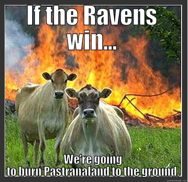 IF THE RAVENS WIN... WE'RE GOING TO BURN PASTRANALAND TO THE GROUND. Evil cows