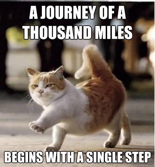 a journey of a thousand miles begins with a single step  