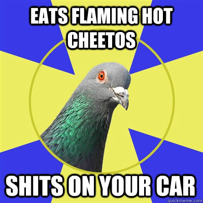 Eats Flaming Hot Cheetos Shits on your car  Religion Pigeon