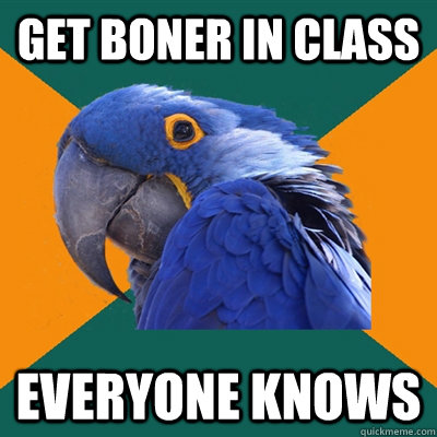 Get Boner in class EVERYONE KNOWS  Paranoid Parrot