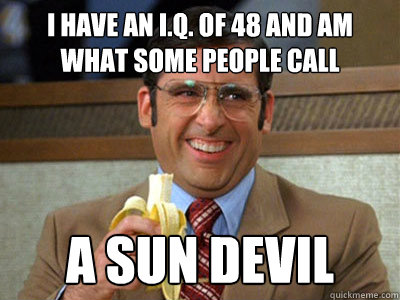 I have an I.Q. of 48 and am what some people call a sun devil  Brick Tamland