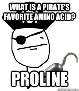 What is a pirate's favorite amino acid? Proline - What is a pirate's favorite amino acid? Proline  pirate meme