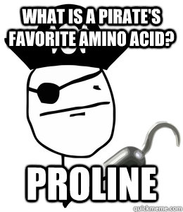 What is a pirate's favorite amino acid? Proline  pirate meme
