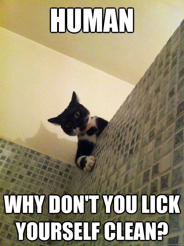 human Why don't you lick yourself clean?  Incredulous Cat