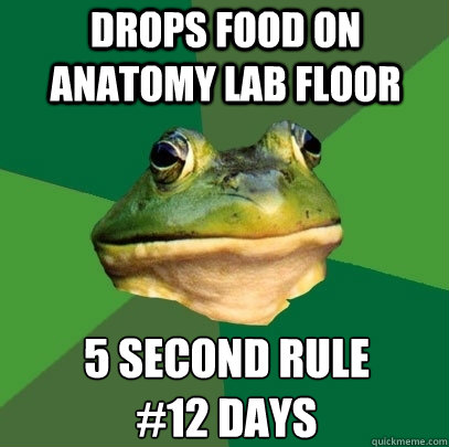 Drops food on anatomy lab floor 5 second rule
#12 days  Foul Bachelor Frog
