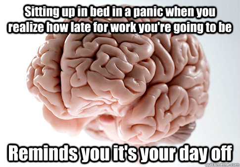 Sitting up in bed in a panic when you realize how late for work you're going to be Reminds you it's your day off  Scumbag Brain