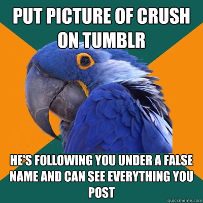 put picture of crush on tumblr he's following you under a false name and can see everything you post  Paranoid Parrot