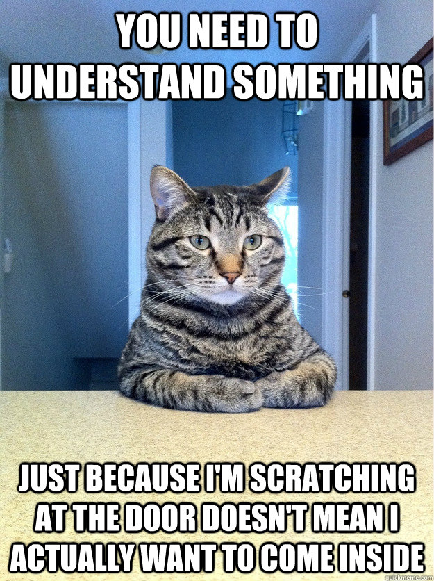 you need to understand something just because i'm scratching at the door doesn't mean i actually want to come inside  Chris Hansen Cat