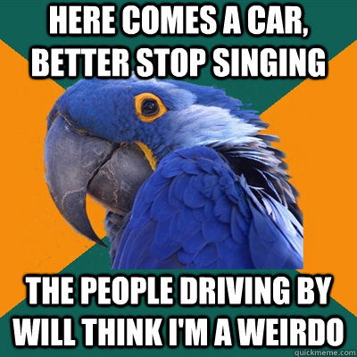 here comes a car, better stop singing the people driving by will think I'm a weirdo  Paranoid Parrot
