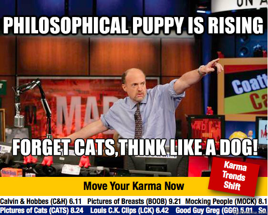 Philosophical puppy is rising forget cats,think like a dog!  Mad Karma with Jim Cramer